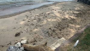 A sandy beach with footprints and a wooden staircase leading down to the water. - "Hook, Line,& Sinker"- At the edge of Erie; 7 days stay plus 1 chartering free
 (Kingsville)