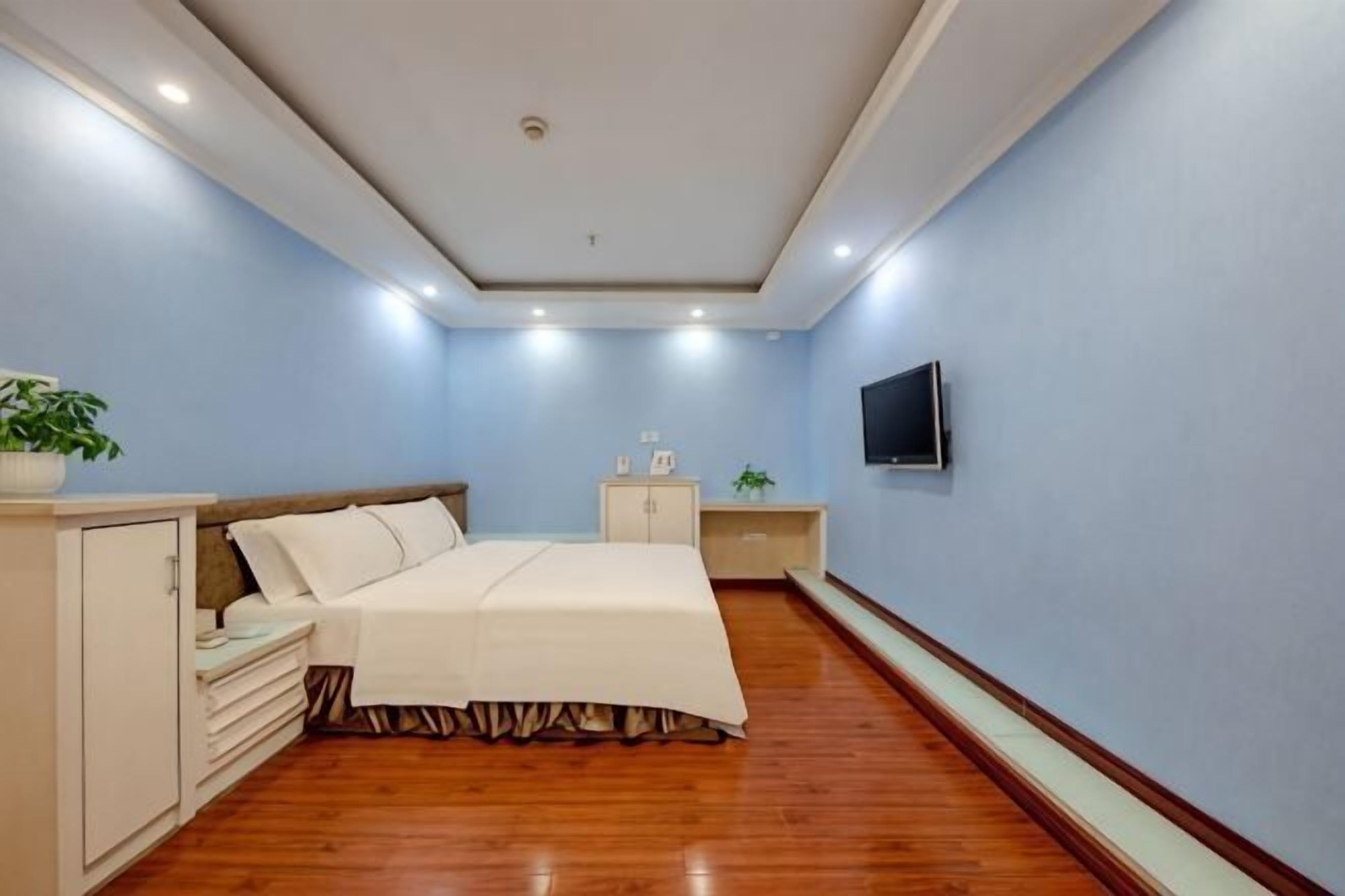 Un dormitorio con cama, mesitas de noche, televisor y una planta.
