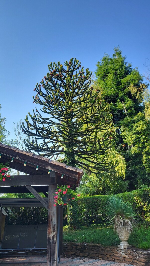 Overnattingsstedets uteområder