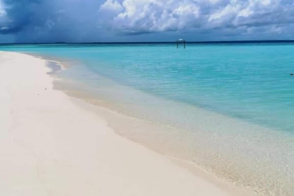 String Wave Maldives