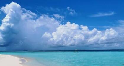 String Wave Maldives