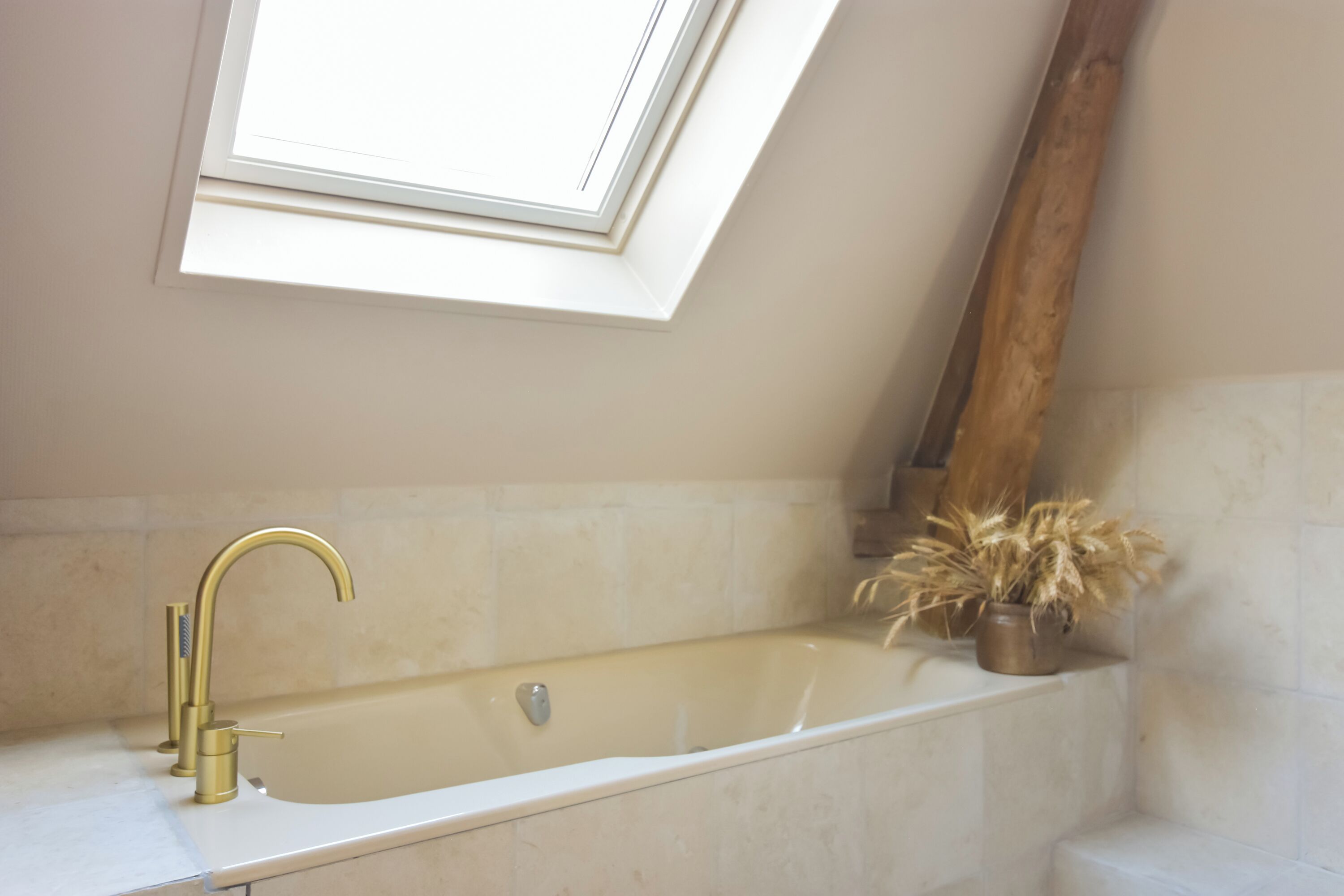 A bathroom with a freestanding bathtub, a skylight, and a potted plant.