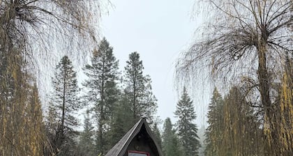 Cozy 1-bedroom cabin in gorgeous Kooskia with AC