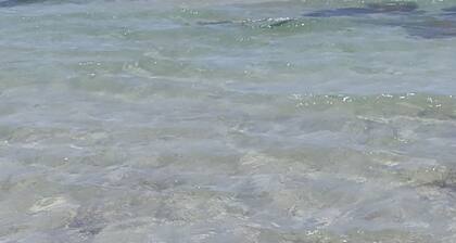 Villa al Centro di due Spiagge, con Giardino, Posto Auto, Barbecue, Cucina