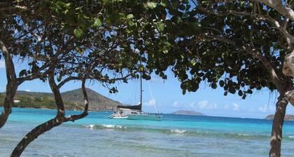 Caribbean Jewel-Newly renovated C209