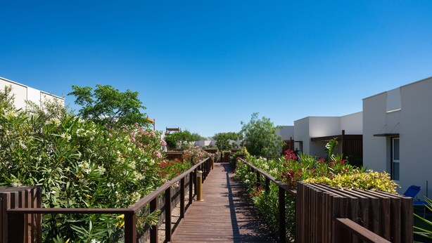 Ein hölzerner Weg schlängelt sich durch einen Gartenbereich mit verschiedenen Pflanzen und Blumen, gesäumt von modernen Gebäuden mit weißen Wänden und Balkonen.