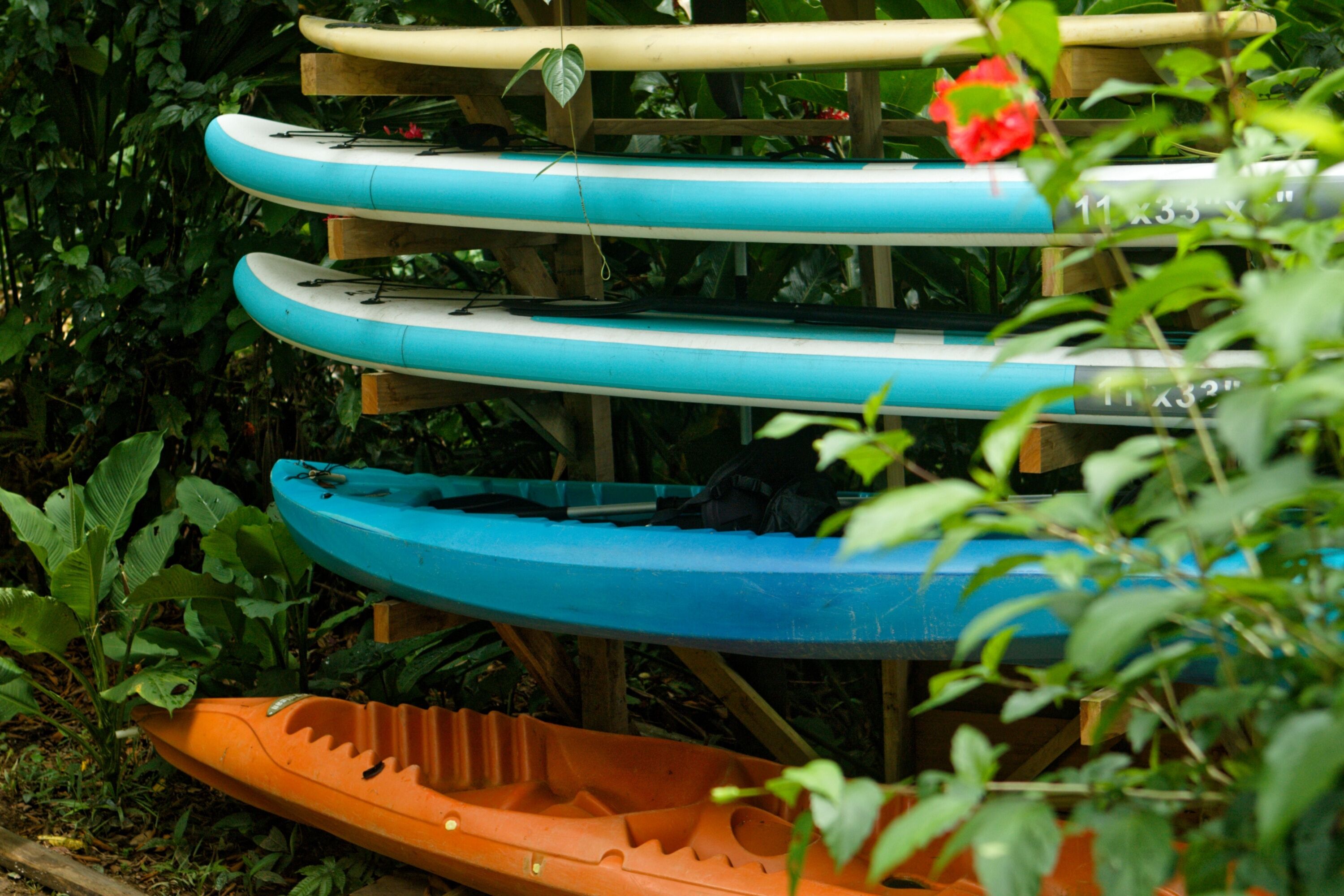 Un montón de kayaks sobre una plataforma de madera rodeada de vegetación.