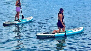 Two people paddleboarding on calm water with a forested island in the background.
