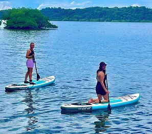 Twee mensen paddleboarden op kalm water, met een bebost eiland op de achtergrond.