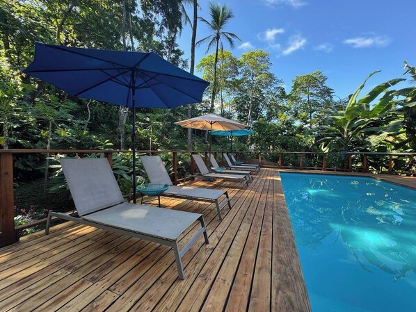 A wooden deck with lounge chairs and umbrellas, a pool, and tropical vegetation.