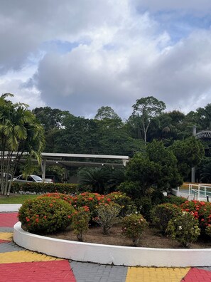 Área da propriedade