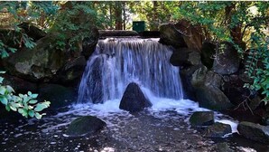 A small waterfall surrounded by rocks and greenery.