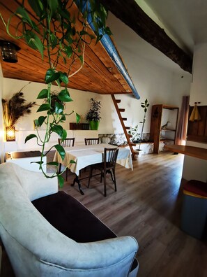 Un coin repas avec une table en bois, des chaises et des plantes suspendues.