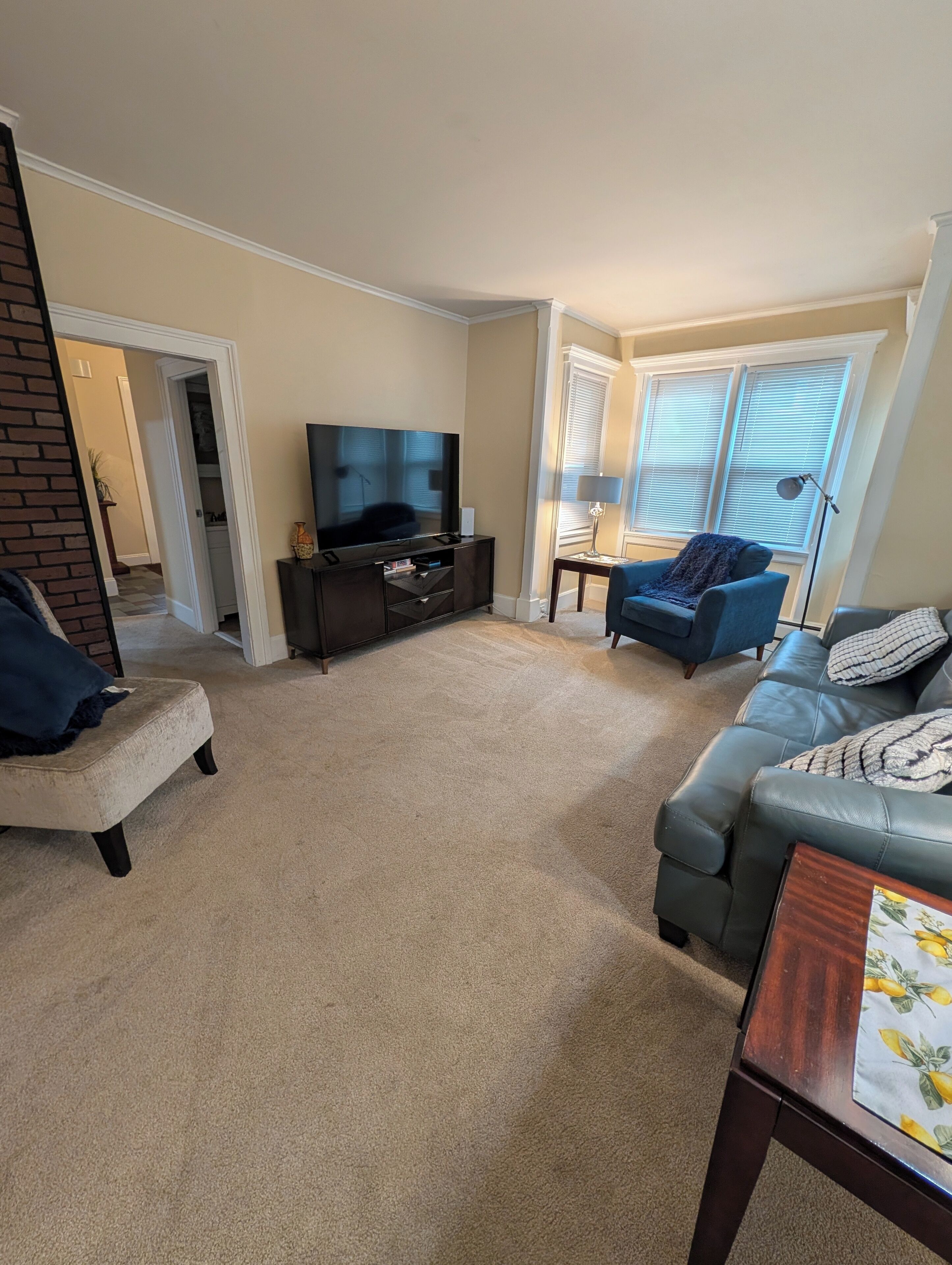 Smart TV, fireplace, books