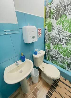 Dusche, Haartrockner, Handtücher, Seife