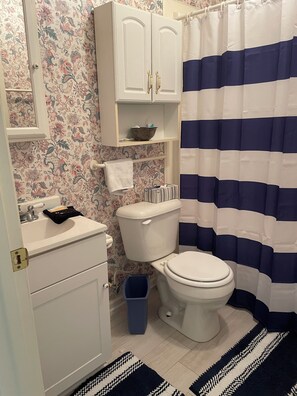 Asciugacapelli, asciugamani, sapone, shampoo