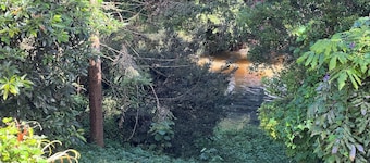 Duckbills Cottage has the convenience of town living but with rural nature feel