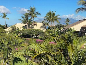 Escape to a serene tropical paradise surrounded by lush gardens and majestic palm trees.