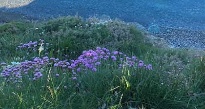 Bell Tent , Carreglwyd Estate, Anglesey