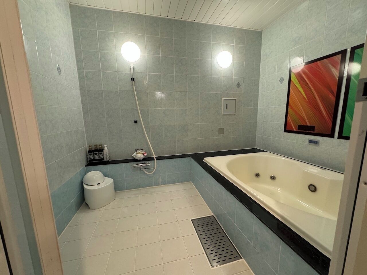 A bathroom with a bathtub, a toilet, and a shower.