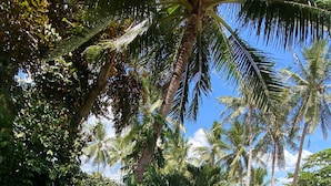 Superior Suite, Balcony, Ocean View | View from room - Kaylaa Beach Resort and Blackeye Brewing (Dimiao)