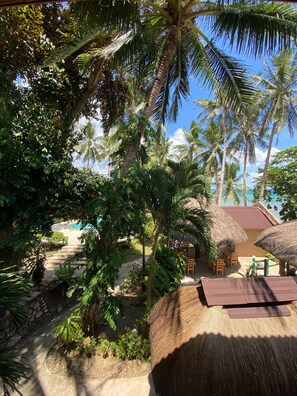Vista desde la habitación