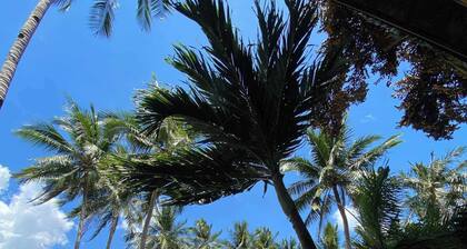 Kaylaa Beach Resort and Blackeye Brewing