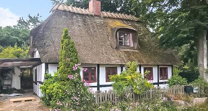 1 bedroom awesome home in Rudkøbing