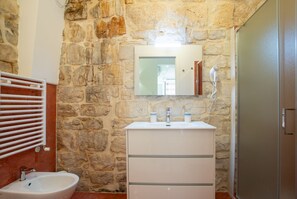 Shower, hair dryer, bidet, towels