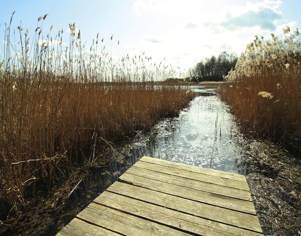 View from property - Ferienwohnung, Lohmen (Lohmen)