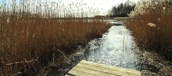 เฟเรียนโวห์นุง โลห์เมน  