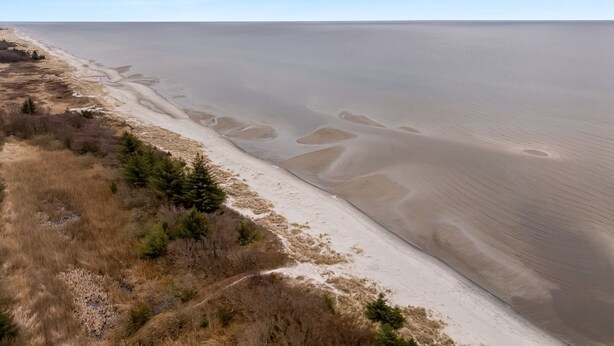 A coastal landscape with a sandy beach and sparse vegetation.