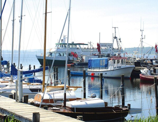 View from property - Ferienhaus, Tessmannsdorf (Am Salzhaff)