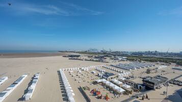Plage, chaises longues
