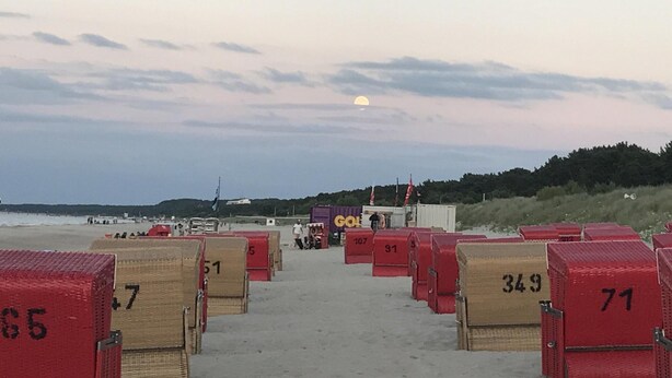 A beachside hotel with rows of numbered beach chairs leading to the ocean. - Apartment in Trassenheide for 4 Personen (Trassenheide)