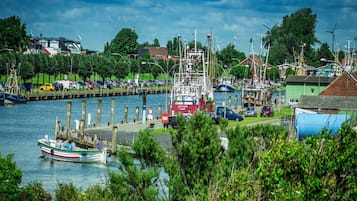 Apartemen | Pemandangan dari properti