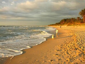 Villa | Vista desde la propiedad