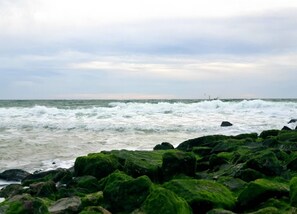 Leilighet | Utsikt fra overnattingsstedet