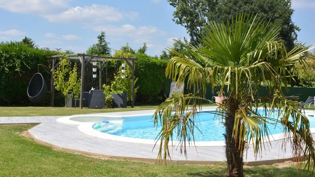 Una piscina con una palmera en primer plano, rodeada de césped y un pérgola con luces colgantes.
