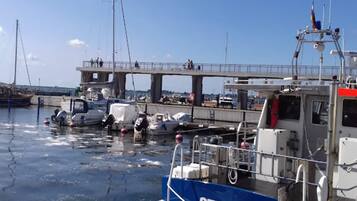 Apartment | View from property