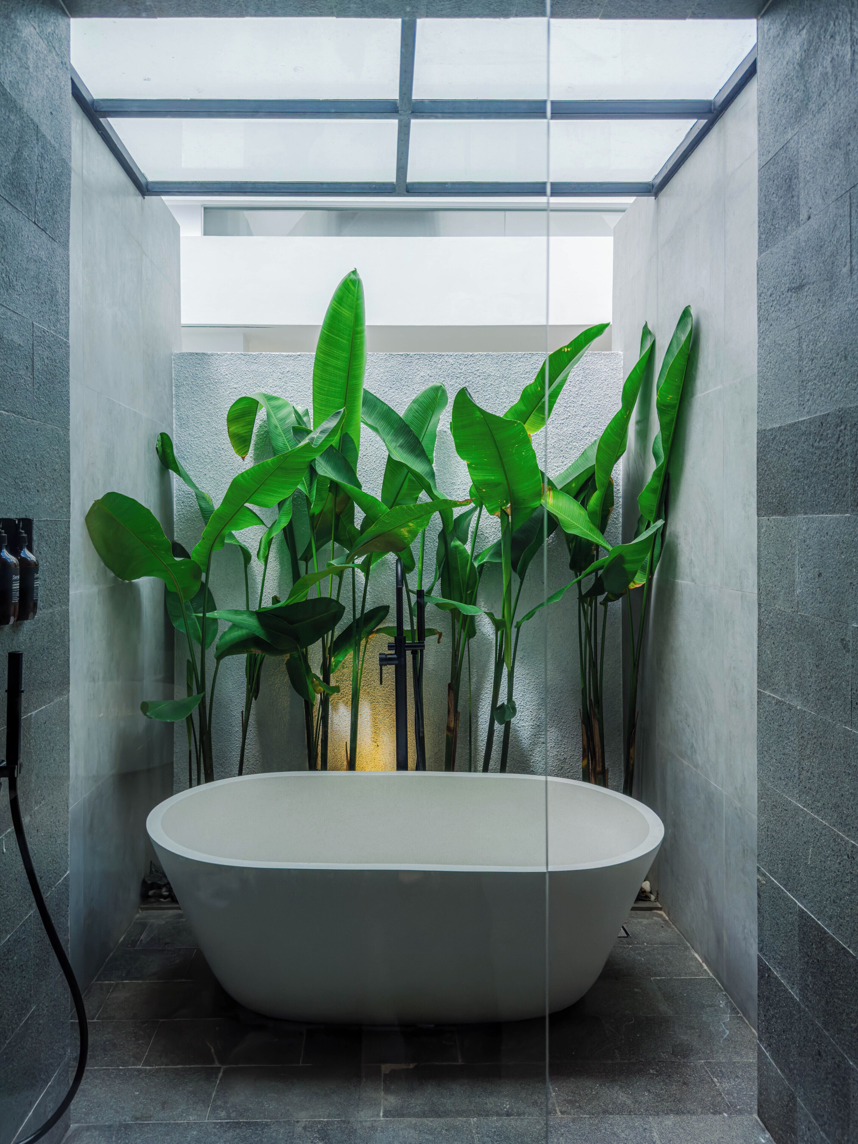 A modern bathroom with a freestanding bathtub, large green plants, and a skylight.