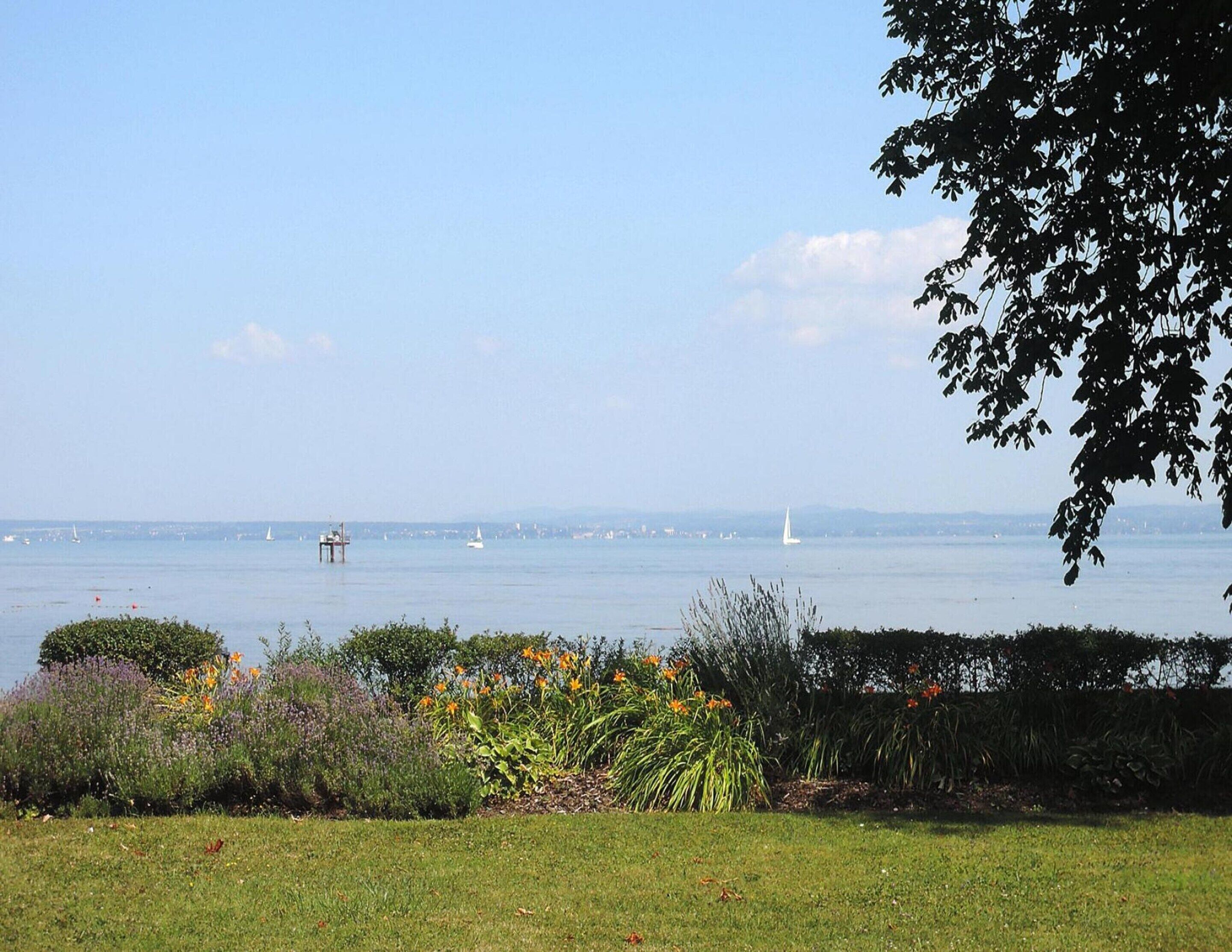 A coastal landscape with a grassy foreground, a variety of flowering plants, and a view of the sea with several sailboats.