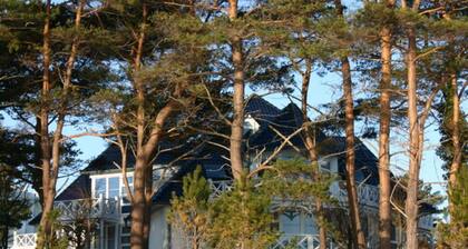 Binz: Sterntaucher in Haus Strelasund