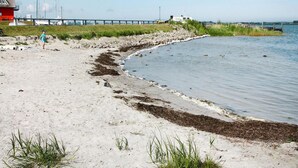 Una playa arenosa con un muelle al fondo, una zona con césped y una masa de agua.