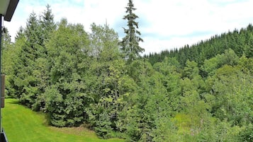 Apartment | Blick von der Unterkunft