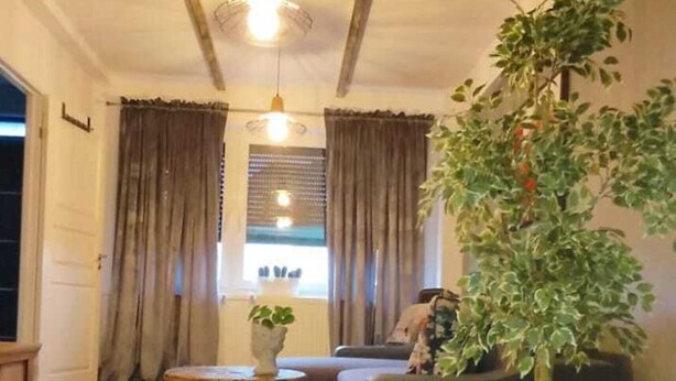 Un salon spacieux avec une grande fenêtre, un canapé, une table basse et une plante en pot.