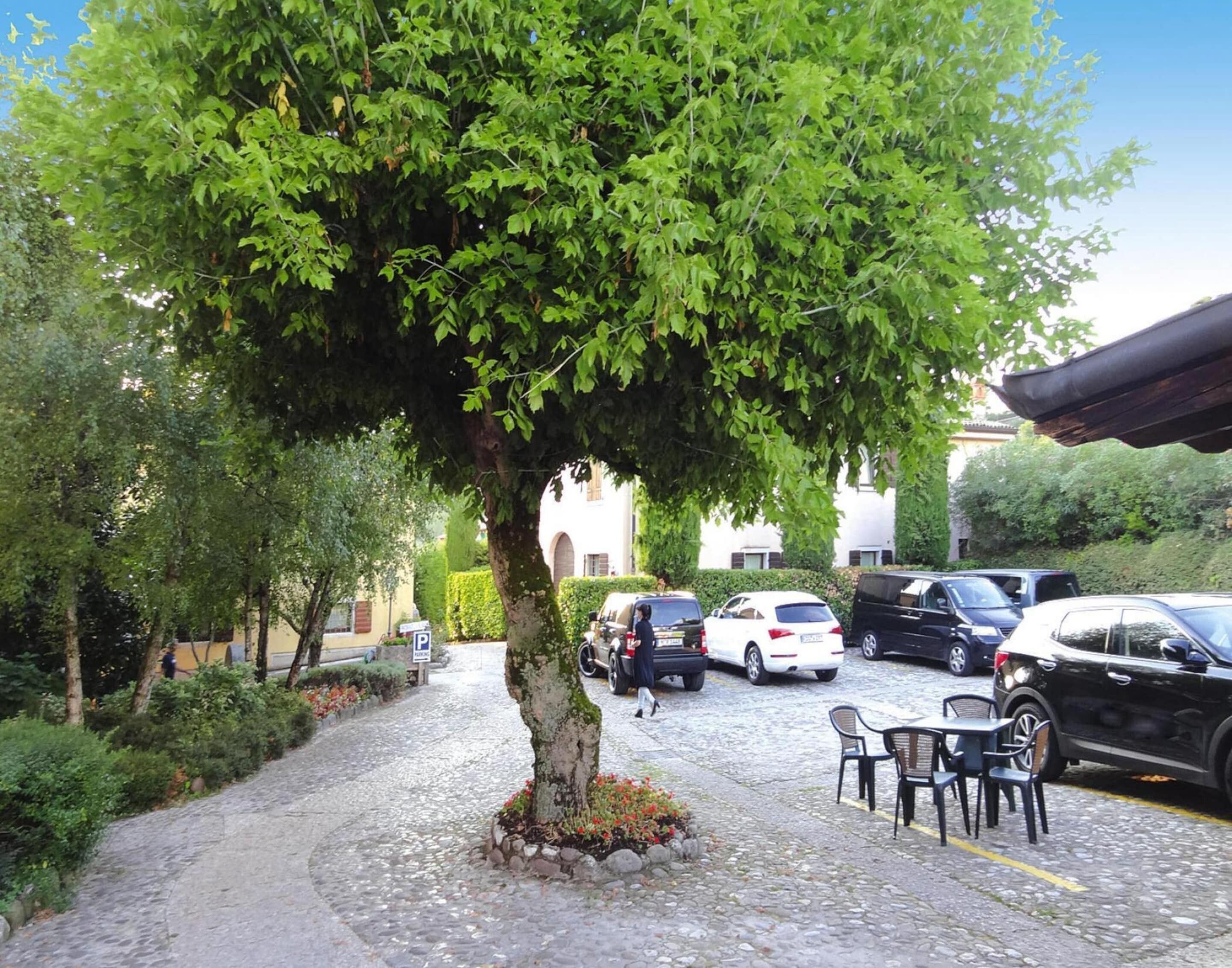 A cobblestone street lined with parked cars and a tree providing shade.