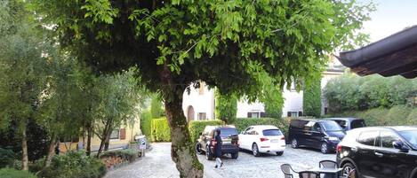 A cobblestone street lined with parked cars and a tree providing shade.
