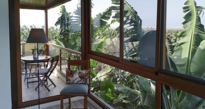 Holiday Home, Fuencaliente