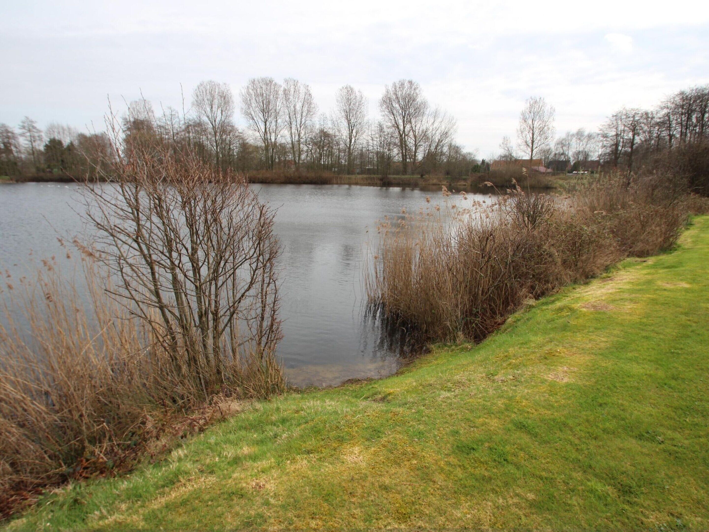 Un lac paisible, bordé de rives verdoyantes et avec des arbres sans feuilles en arrière-plan.